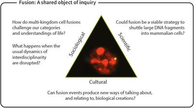 Crossing Kingdoms: How Can Art Open Up New Ways of Thinking About Science?